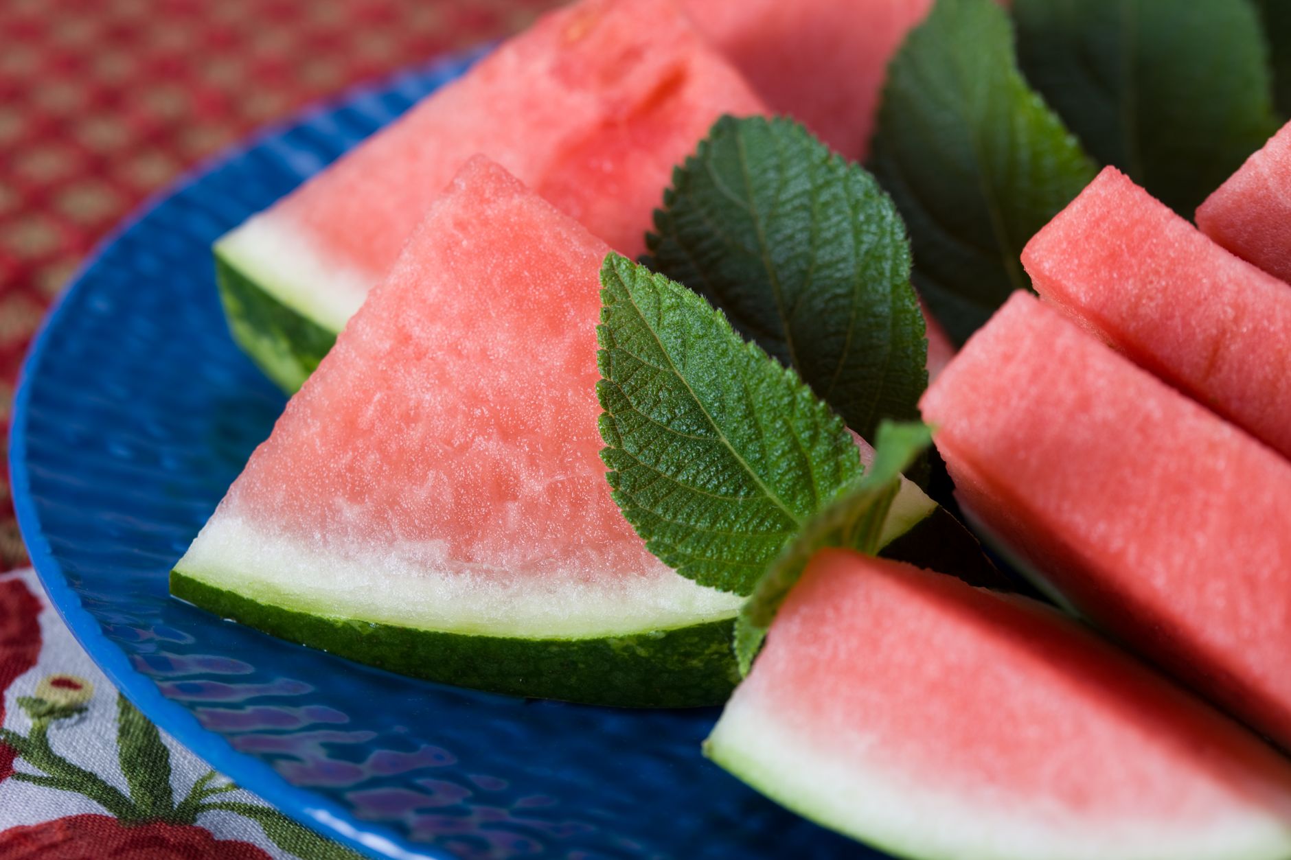 Watermelon-Mint Protein Slush